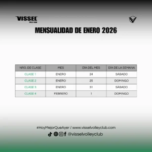 Mensualidad de enero