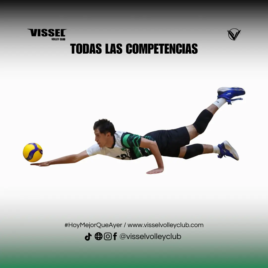 Todas las competencias